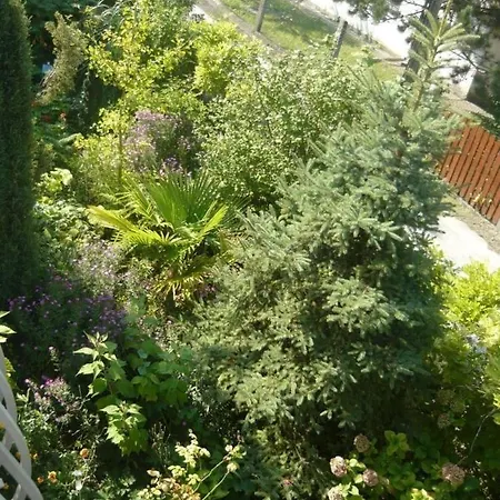 Apartment Schones In Mit Terrasse, Grill Und Garten *
